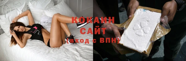 твердый Абаза