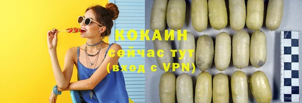 твердый Абаза