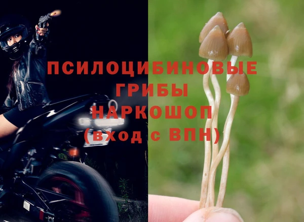твердый Абаза
