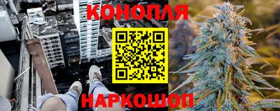 СК Гусь-Хрустальный