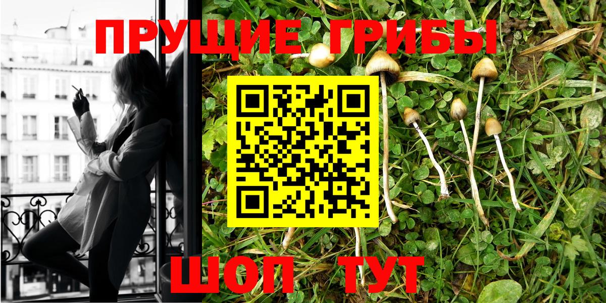 Галлюциногенные грибы GOLDEN TEACHER  Вход с VPN  Ипатово 