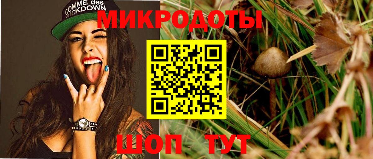 Галлюциногенные грибы Cubensis Ипатово